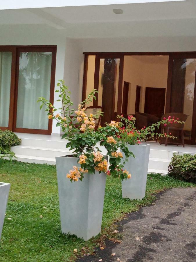Colibri Villa Maggona Luaran gambar