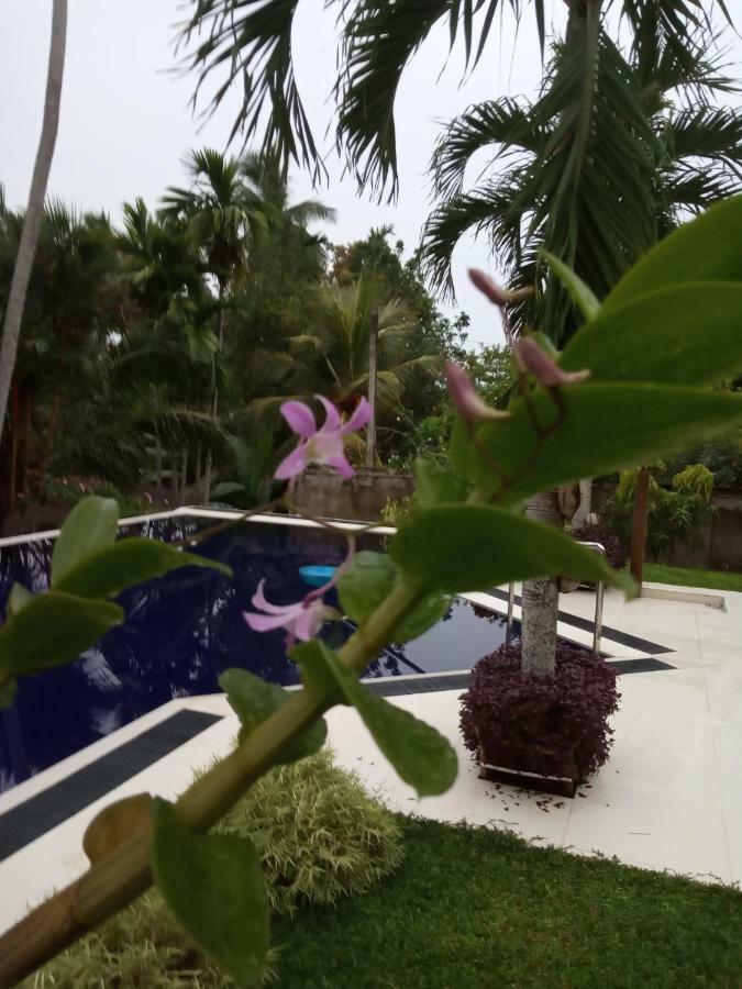 Colibri Villa Maggona Luaran gambar